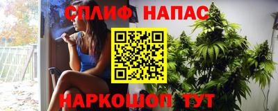 твердый Моздок