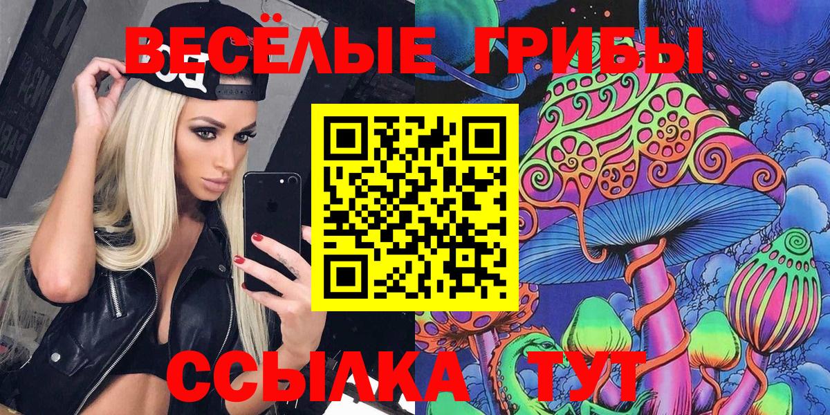 Псилоцибиновые грибы мицелий  Вход с VPN  Янаул 